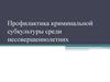 Профилактика криминальных субкультур среди несовершеннолетних