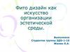 Фитодизайн, как искусство организации эстетической среды