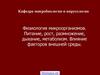 Микроорганизмы. Питание, рост, размножение, дыхание, метаболизм. Влияние факторов внешней среды