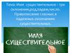 Имя существительное : три склонения, род, падеж, число. Правописание гласных в падежных окончаниях существительных