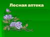 Лесная аптека