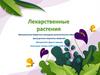 Лекарственные растения