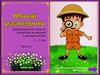 Дидактическая игра по развитию внимания у дошкольников 5 – 7 лет. Часть 3