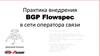 Практика внедрения BGP Flowspec в сети оператора связи
