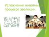 Усложнение животных в процессе эволюции