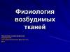 Физиология возбудимых тканей