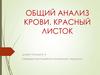 Общий анализ крови. Эритроциты
