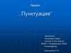 Пунктуация. Проект