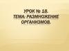 Размножение организмов