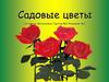 Садовые цветы