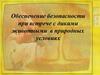 Обеспечение безопасности при встрече с дикими животными в природных условиях