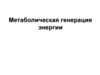 Метаболическая генерация энергии. Тема 12