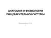Анатомия и физиология пищеварительнойсистемы