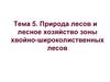 Природа лесов и лесное хозяйство зоны хвойно-широколиственных лесов (Тема 5)