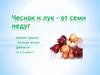 Чеснок и лук – от семи недуг. Занятие кружка «Зеленая аптека Донбасса»