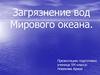 Загрязнение вод Мирового океана