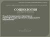 Лекция № 2 Социальная структура и стратификация