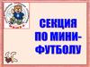 Мини-футбол