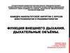 Функция внешнего дыхания. Дыхательные объёмы