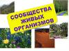 Сообщества живых организмов