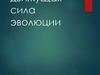 Естественный отбор – главная движущая сила эволюции