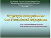 Вооруженные Силы Российской Федерации и зарубежных государств