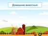 Домашние животные. Животные теплых стран