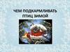 Подкормка птиц