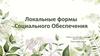 Локальные формы социального обеспечения