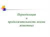 Периодизация и продолжительность жизни животных