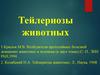 Тейлериозы животных