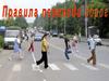 Дорожный переход - наш друг на дороге