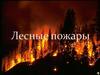 Лесные пожары