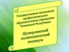 Шумерлинский политехнический техникум. Экономика и бухгалтерский учет