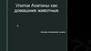 Улитки ахатины, как домашние животные