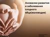 Аномалии развития и заболевания плодного яйца(маловодие)
