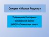 Создание экскурсионного маршрута «Моя малая Родина». Деревня Пяжелка