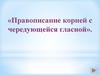 Правописание корней с чередующейся гласной