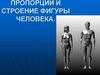 Пропорции и строение фигуры человека