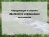 Информация и знания. Восприятие информации человеком