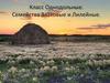 Класс Однодольные. Семейства Злаковые и Лилейные