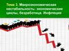 Макроэкономическая нестабильность: экономические циклы, безработица. Инфляция. Тема 3