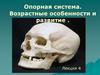 Опорная система. Возрастные особенности и развитие . (Лекция 4)