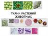Ткани растений и животных