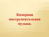 Камерная инструментальная музыка
