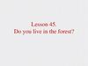 Do you live in the forest? Lesson 45