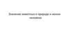 Значение животных в природе и жизни человека