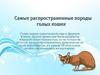 Самые распространенные породы