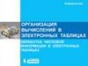 Организация вычислений в электронных таблицах. Обработка числовой информации в электронных таблицах