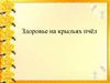 Здоровье на крыльях пчёл